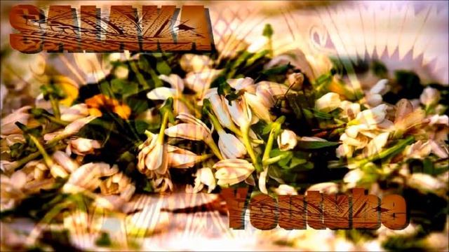Like You Nuku Hiva Dj Makers 2015 смотреть онлайн