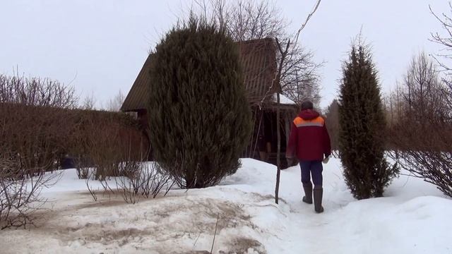 Обработка сада ЗОЛОЙ по снегу смотреть онлайн