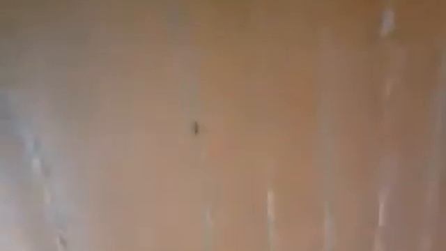 Уборка в классе математики