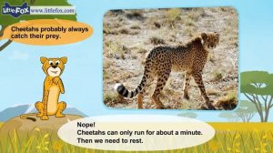 04. Meet the Animals | Cheetah | Wild Animals | Stories for Kindergarten