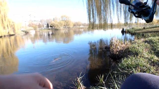 МОНСТР КЛЮНУЛ НА МОРМЫШКУ! Мормышинг в центре города смотреть онлайн