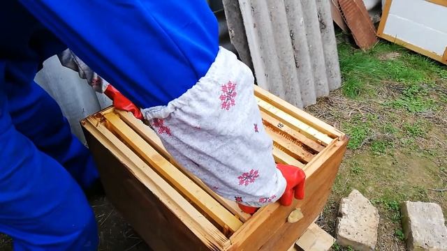 16 ноября 2019 г.(3) смотреть онлайн