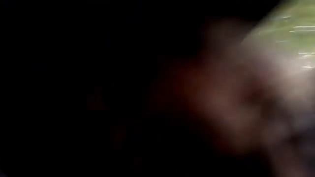 24 сентября 2017 г. смотреть онлайн