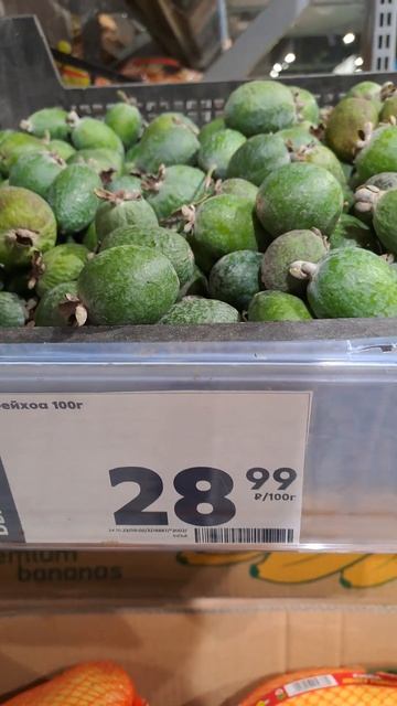 Фейхоа. смотреть онлайн