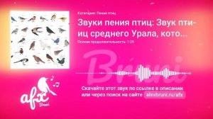 Звук: Звуки пения птиц: Звук птиц среднего Урала, которые поют в лесной чаще (сборник разных птиц)