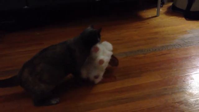 Stormy the cat kills the robot dog смотреть онлайн