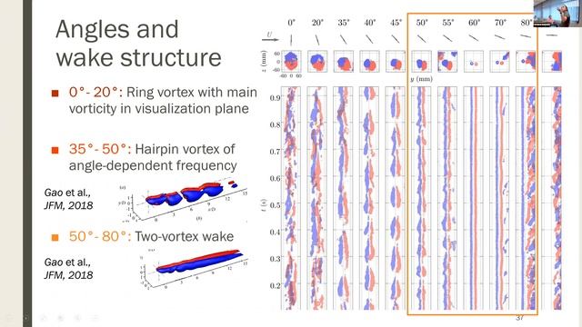 LMFL Fluid Mechanics Webinar: A. Gayout смотреть онлайн
