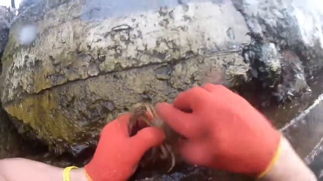 #Краб 2. Небезпечний. Опасный. 😈🚀🔱 смотреть онлайн