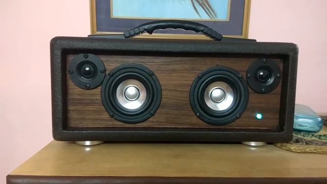 Fountek FE85 and Hivi t20 based boombox смотреть онлайн