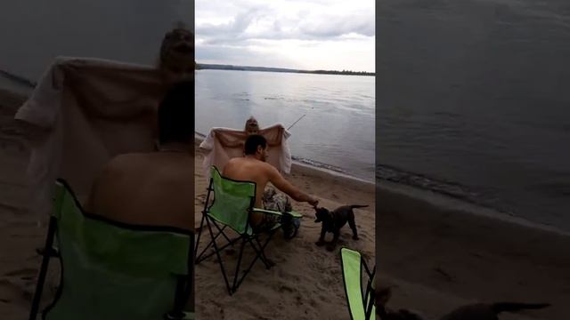 Отдых на Каме😜 смотреть онлайн