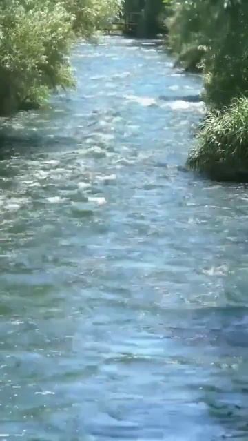 The sound of small river #short #shorts смотреть онлайн