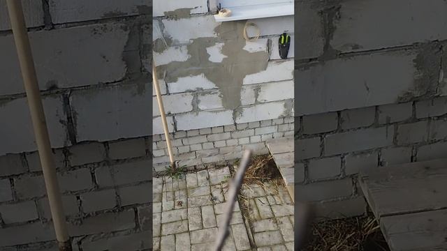 Преимущества персика перед абрикосом. смотреть онлайн