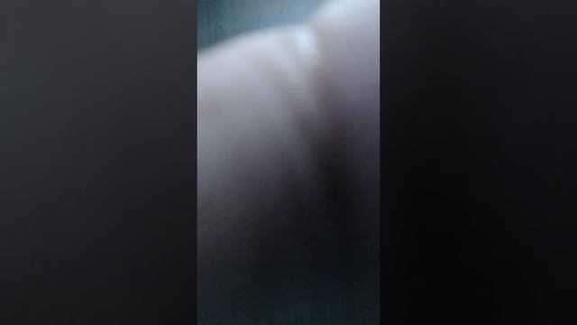 Buceta Buceta Buceta