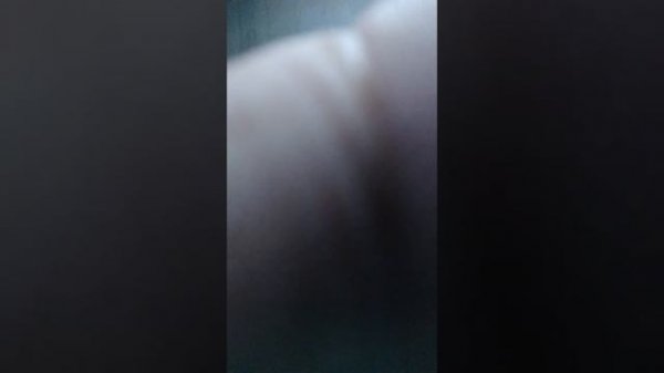 buceta buceta buceta