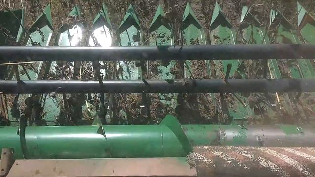 Уборка семечьки смотреть онлайн