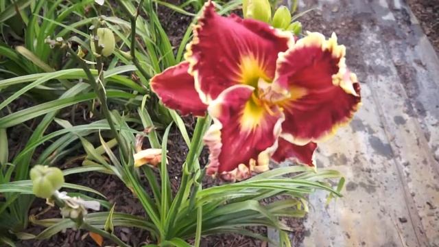 SWIMMING DEEP смотреть онлайн