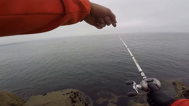 Catch and Cook - Is this a POISONOUS and VENOMOUS Fish?! смотреть онлайн