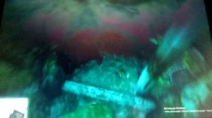 Как можно превратить в гта 5 акулу?