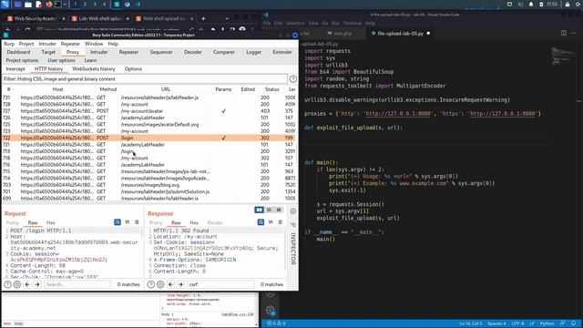 Lab #5 Web shell upload via obfuscated file extension смотреть онлайн
