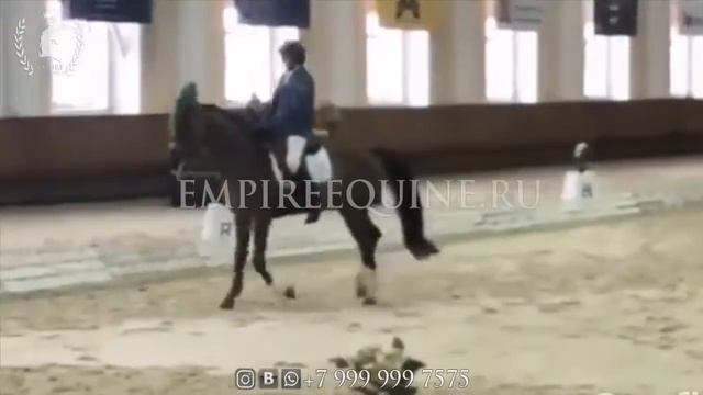 0731 смотреть онлайн