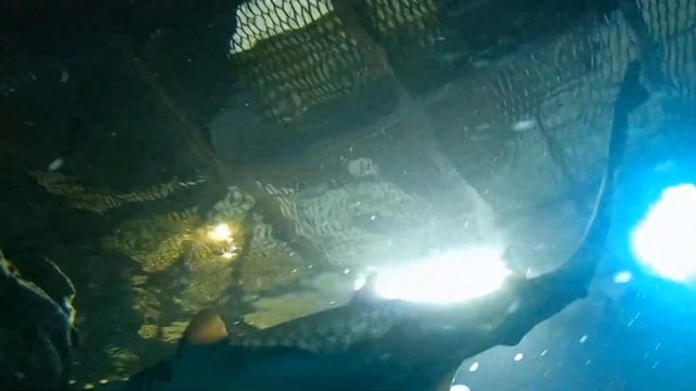 ВЯЗАЛЬНЫЙ ВЛОГ N°7 🧶ПОЕЗДКА В ЕКАТЕРИНБУРГ | ПОКУПКА | НОВЫЙ ПРОЦЕСС💥