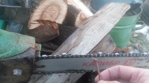 Электрическая цепная пила FinePower CSE1314  VID_20250227