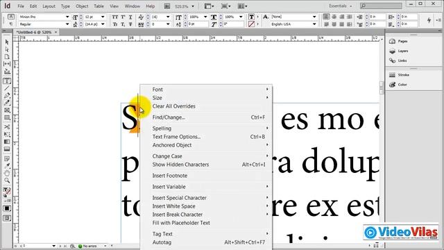 Adobe InDesign CS6 Tutorials (Telugu) - 16 - All Tools in Toolbox Overview Part 02 смотреть онлайн