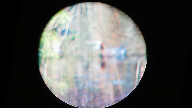 Охота с PCP пневматикой на уток весной. Готовлю шурпу из дичи с тыквой на костре. смотреть онлайн