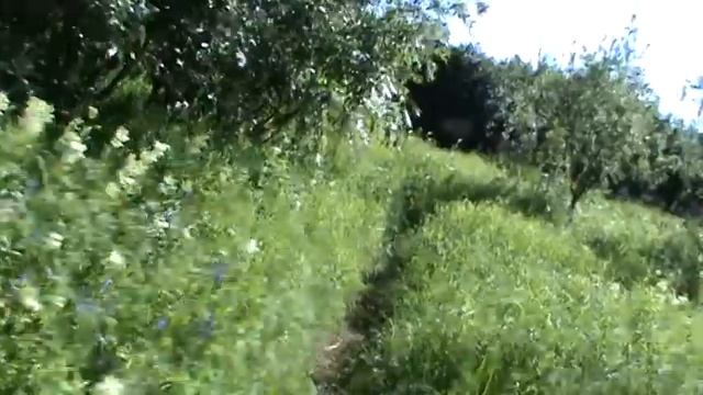 р.печера, изба и окресность на среднем шаре смотреть онлайн