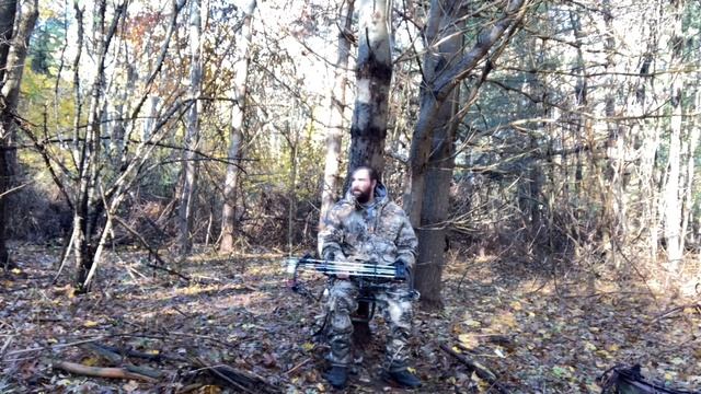 Summit Stump Tree Seat Review!! Summit Tree Seat Review!!