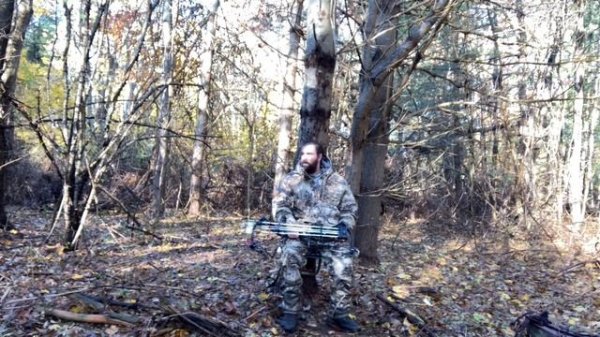 Summit Stump Tree Seat Review!! Summit tree seat review!!