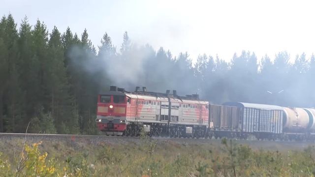 2ТЭ10М-2546 с грузовым отправляется со станции Пермилово смотреть онлайн