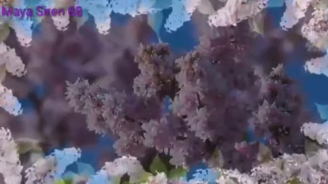 Гурт Лісапетний Батальйон Ружа смотреть онлайн
