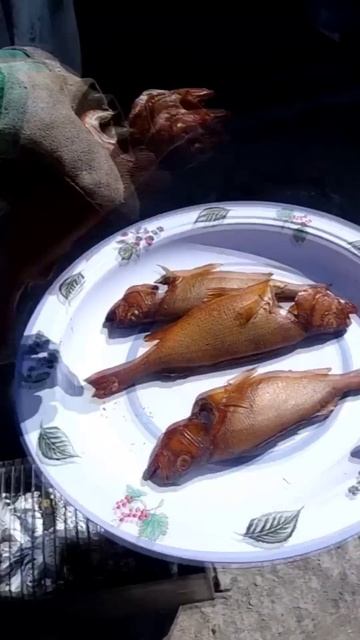 Копчу окуня, пальчики оближешь! #fishing #щука #рыбалка #рыболовная #carpfishing #fish