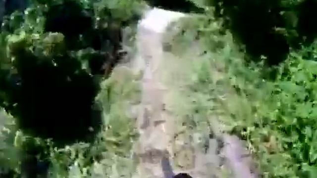 trail amelia park hialeah fl 8-1-09 смотреть онлайн