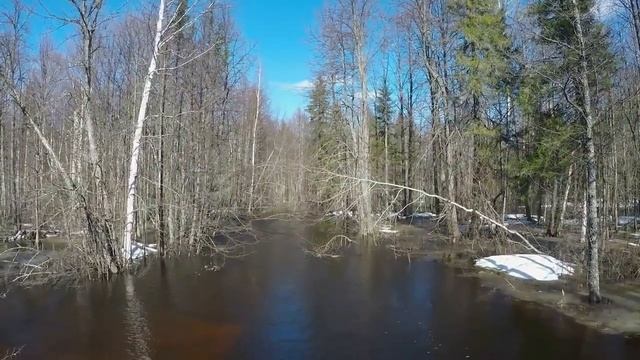 Журавли . Душевная песня.Елена Серикова. смотреть онлайн