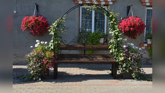 Петуния Wave Carmine Velour