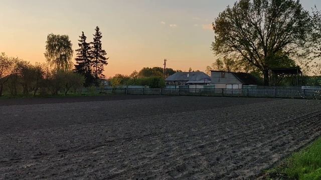 Спів птахів, Чернігівська область смотреть онлайн