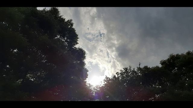 J.Sibelius, 5 Pieces Op.75 No.1-4 (5) смотреть онлайн