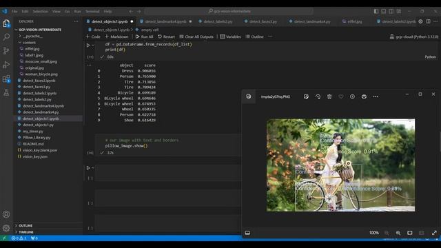 Google Cloud Vision API for Images using Python: Google Vision API Tutorial смотреть онлайн