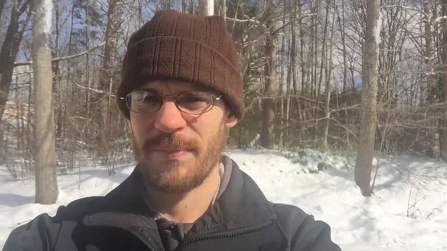 The Secret Language Of Chickadees