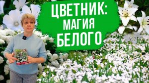 Монохромный сад с Оксаной Пискаревой. Цветочные композиции в белом оттенке.