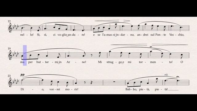 O mio babbino caro (Vocal Guide) – Digital Accompaniment смотреть онлайн