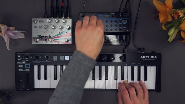 Behringer Pro VS mini Presets: Sound Demo (no talking) "Spectral" Sound Pack for Ambient and Techno смотреть онлайн