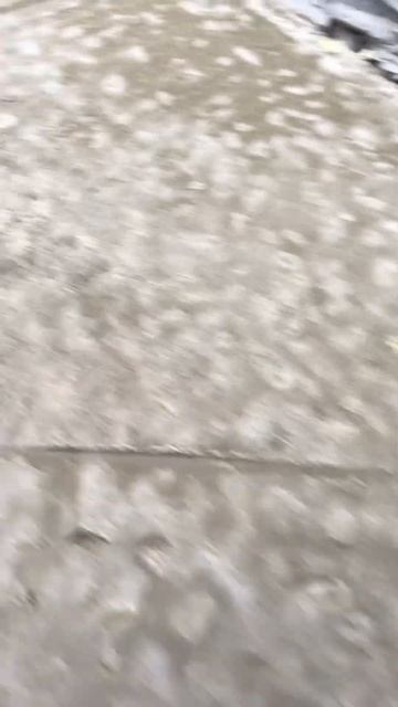 Цветет брашированный бетон #youtube #top #shortsvideo #tiktok смотреть онлайн