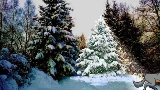 В лесу родилась ёлочка смотреть онлайн