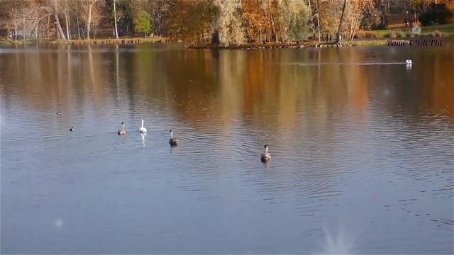 Чистые пруды ( И. ТАЛЬКОВ)