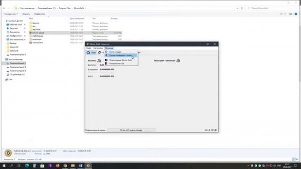 Как Создать и Использовать Bitcoin Gold Кошелек на Платформе Windows ｜ Bitcoin Gold Core Wallet - 20