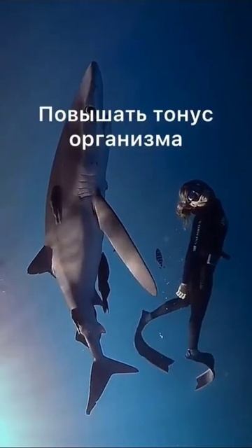 Море смотреть онлайн