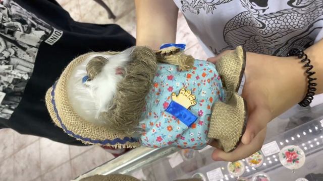 Домовые и две красавицы Шура и Ксюша! смотреть онлайн